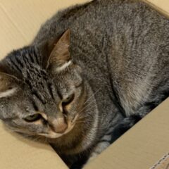 チェーンパーツとプラカンをUPしました