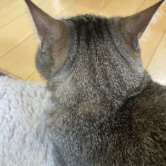 シードビーズをUPしました